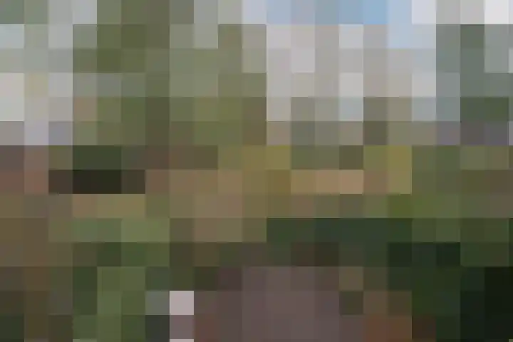De Wouden 224 Assen thumbnail 52
