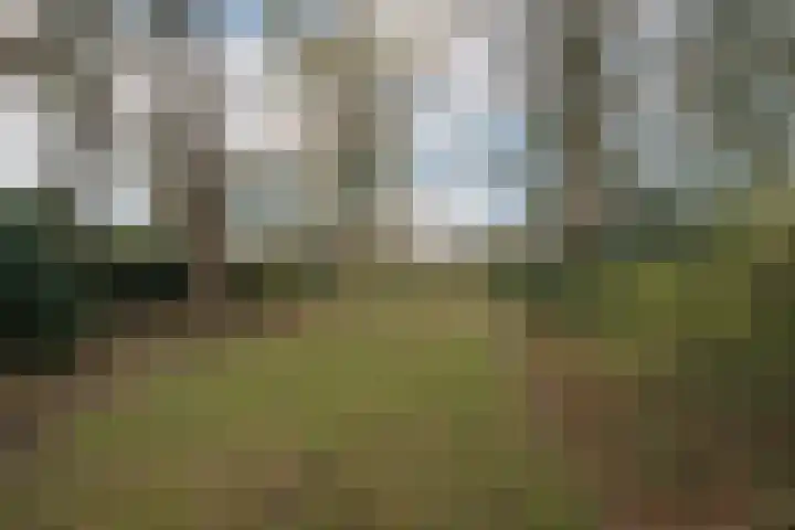 De Wouden 224 Assen thumbnail 53
