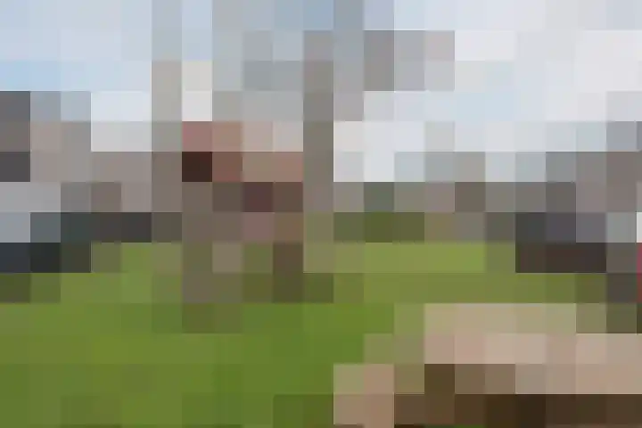 De Wouden 224 Assen thumbnail 54