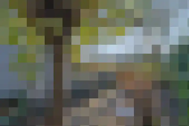 De Wouden 27 Assen thumbnail 37