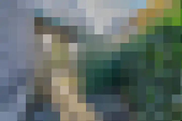 De Wouden 27 Assen thumbnail 38