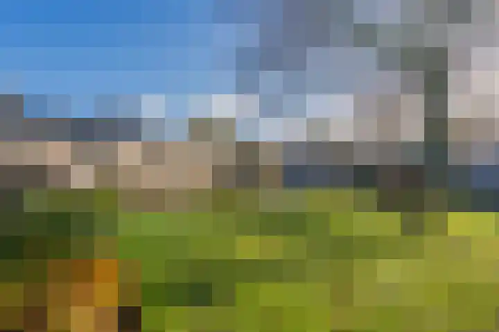 De Wouden 27 Assen thumbnail 39