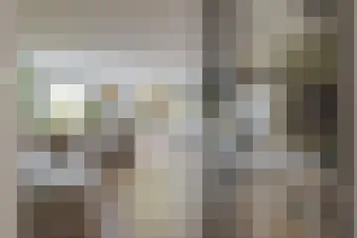 De Wouden 300 Assen thumbnail 13
