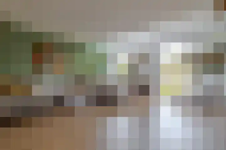 De Wouden 300 Assen thumbnail 16