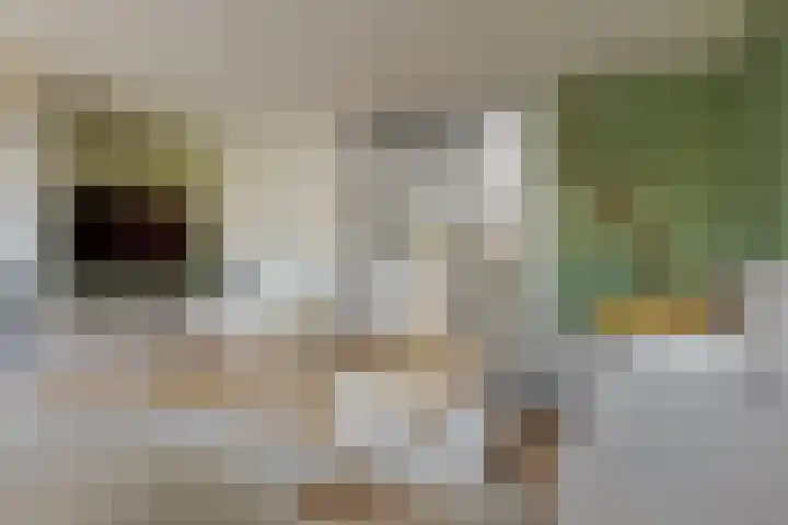 De Wouden 300 Assen thumbnail 17