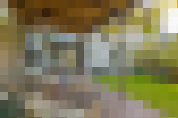 De Wouden 300 Assen thumbnail 24