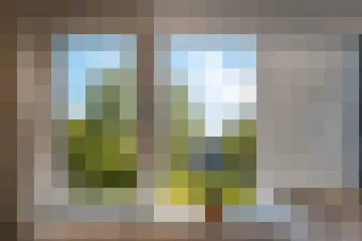 De Wouden 300 Assen thumbnail 30