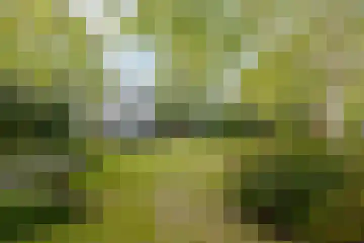 De Wouden 300 Assen thumbnail 5