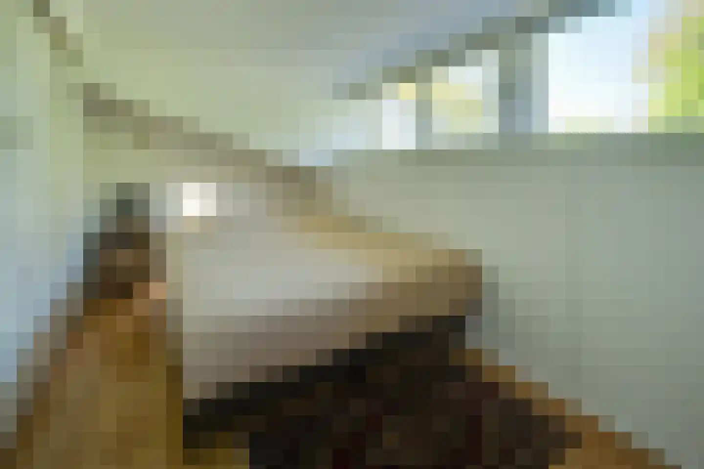De Wouden 43 Assen thumbnail 14