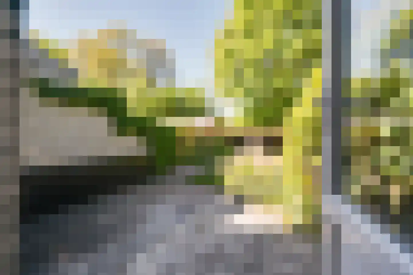 De Wouden 43 Assen thumbnail 22