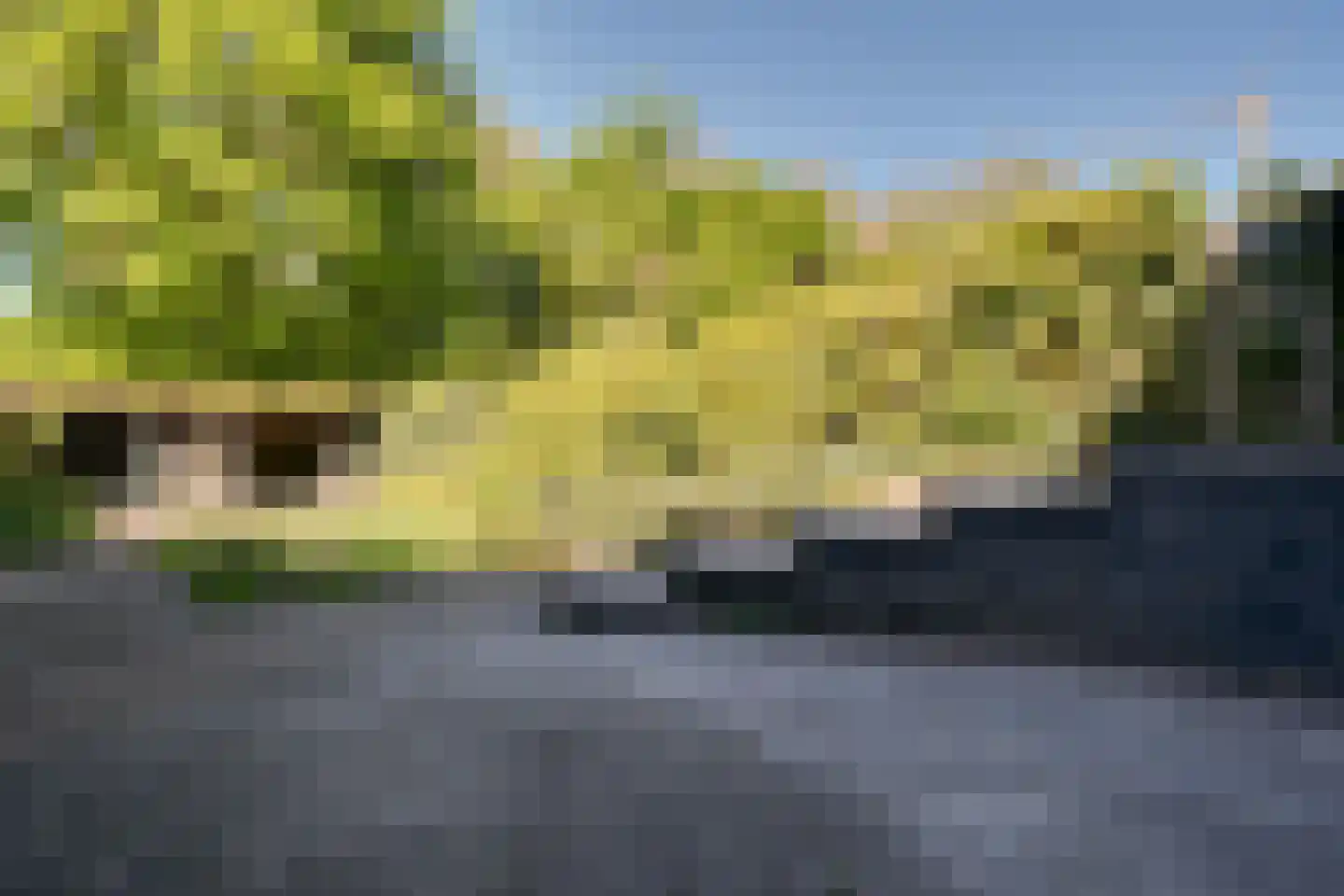 De Wouden 43 Assen thumbnail 23
