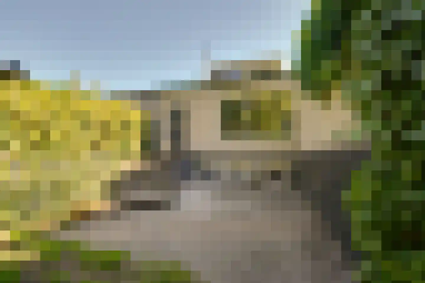 De Wouden 43 Assen thumbnail 25