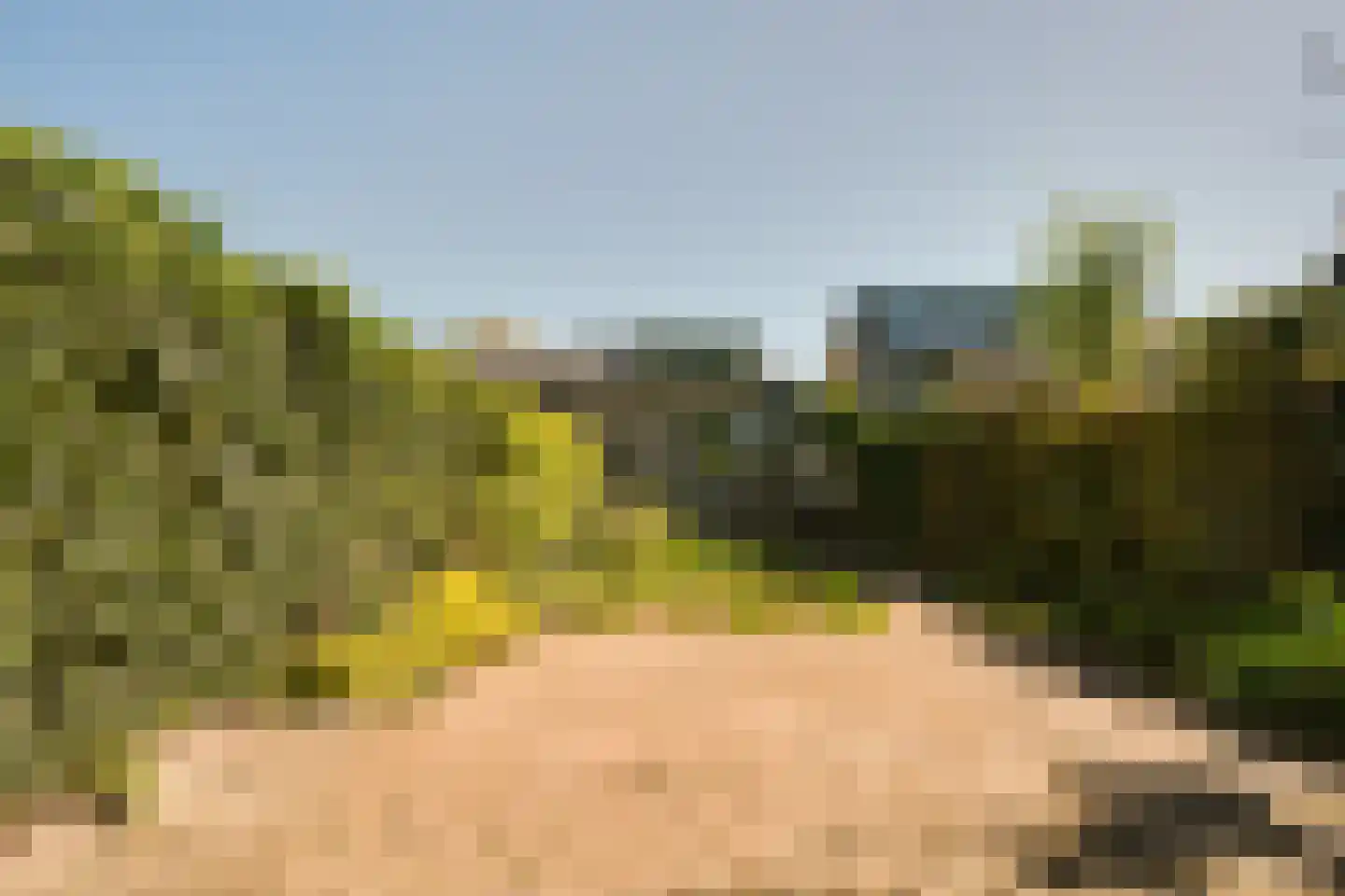 De Wouden 43 Assen thumbnail 26