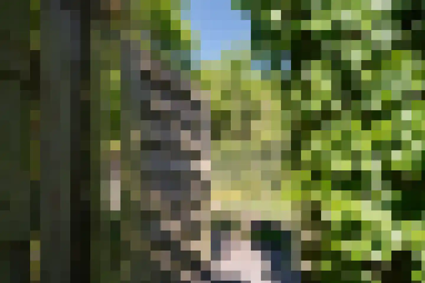 De Wouden 43 Assen thumbnail 27