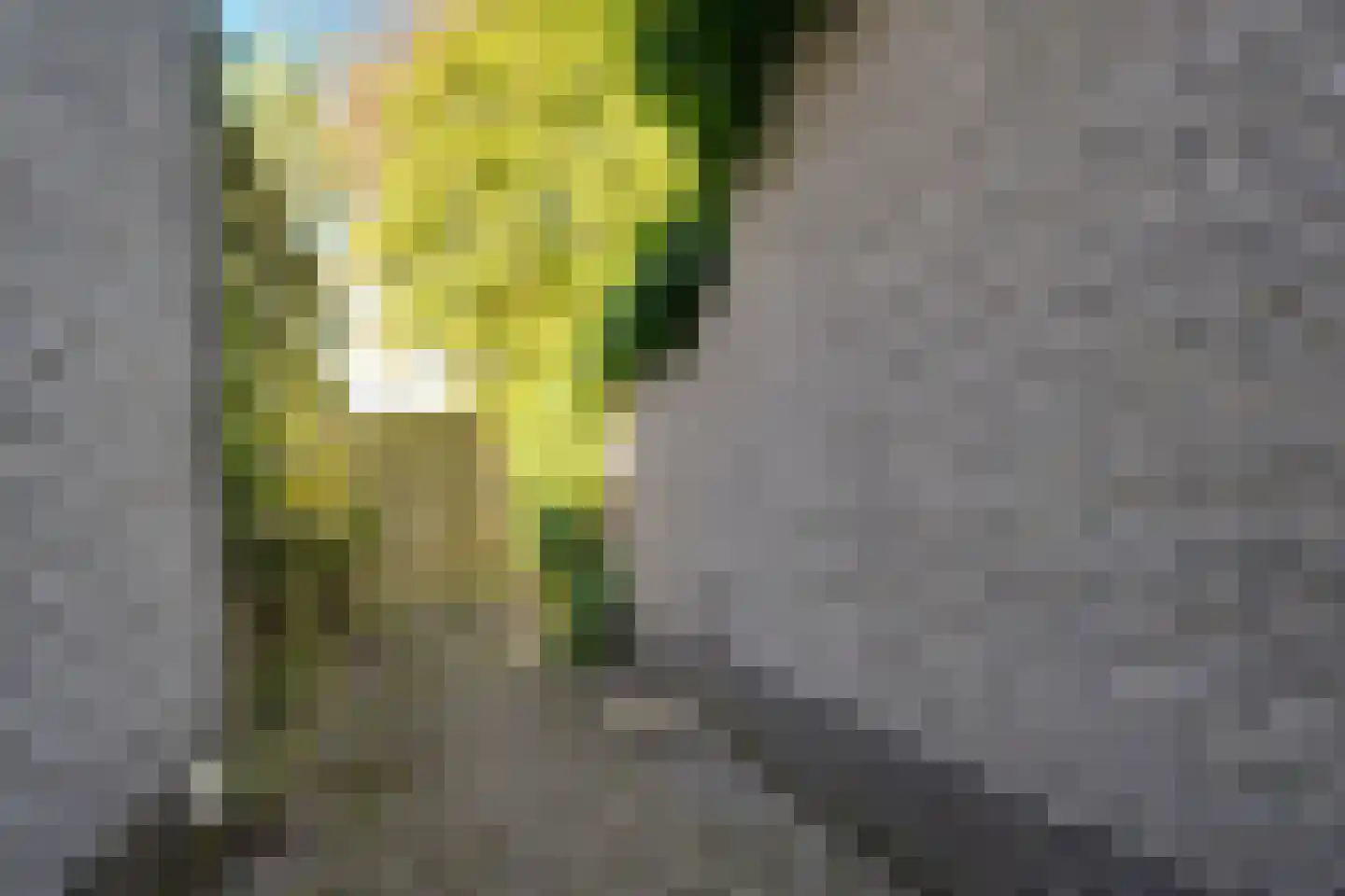 De Wouden 43 Assen thumbnail 28