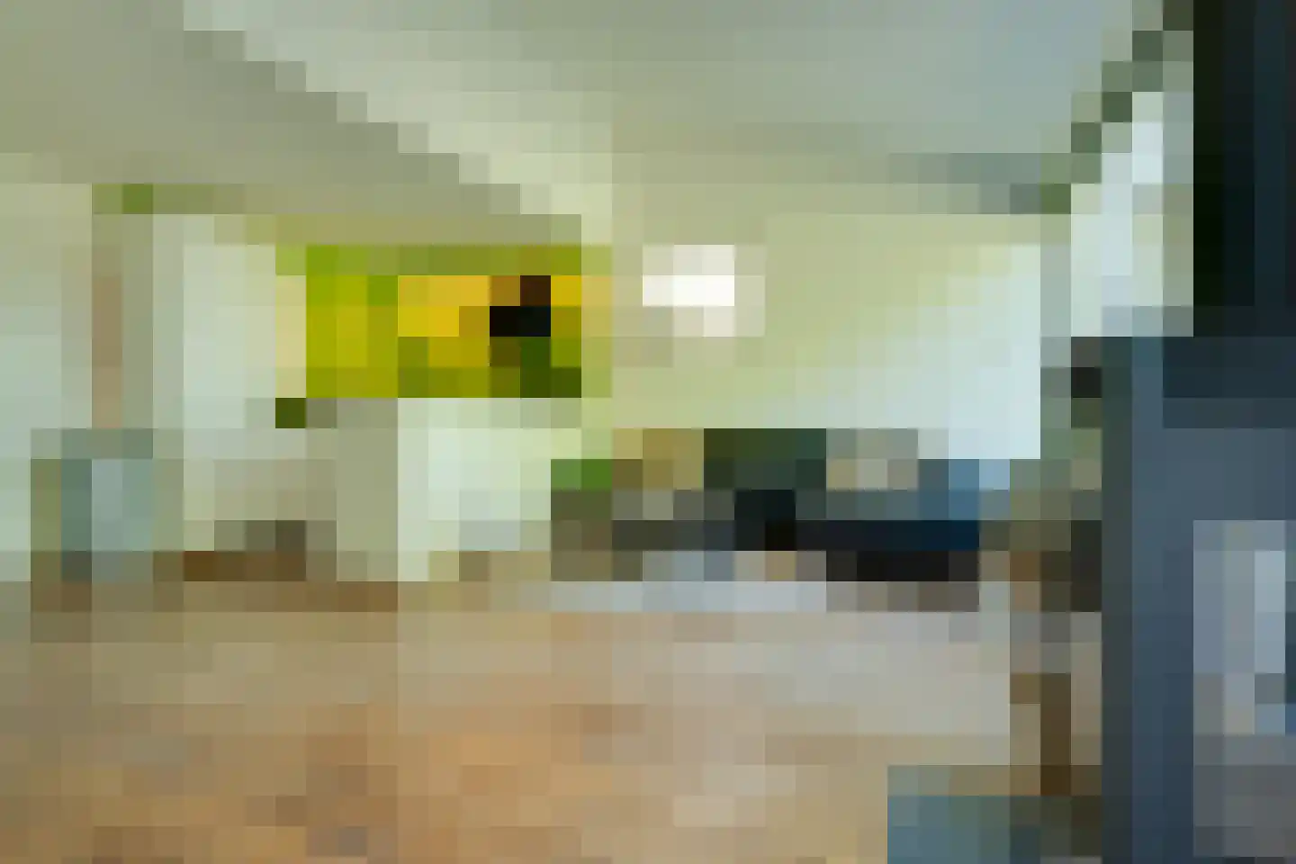 De Wouden 43 Assen thumbnail 7
