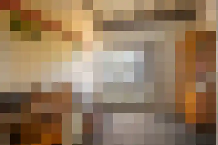 De Wouden 5 Assen thumbnail 21