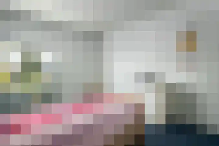 De Wouden 5 Assen thumbnail 29