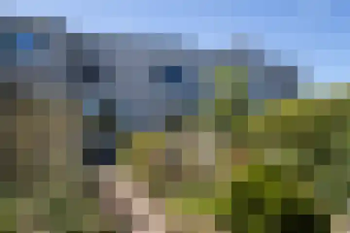 De Wouden 5 Assen thumbnail 32
