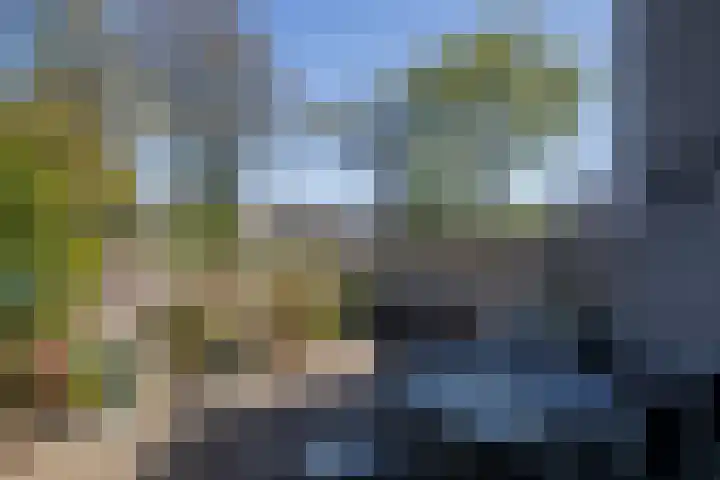 De Wouden 5 Assen thumbnail 33