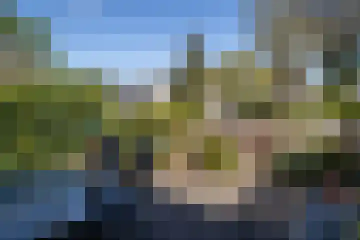 De Wouden 5 Assen thumbnail 34