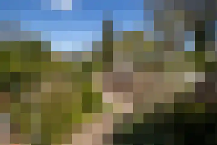 De Wouden 5 Assen thumbnail 35