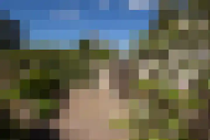 De Wouden 5 Assen thumbnail 36
