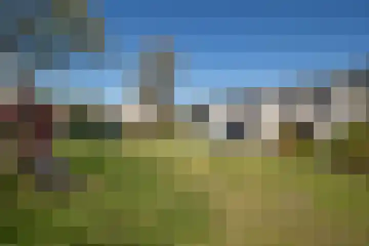 De Wouden 5 Assen thumbnail 4
