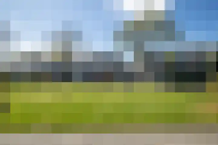 De Wouden 5 Assen thumbnail 5