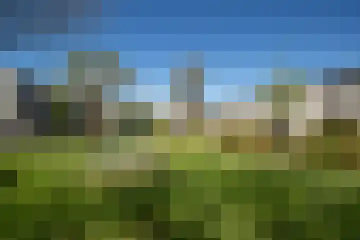 De Wouden 5 Assen thumbnail 6