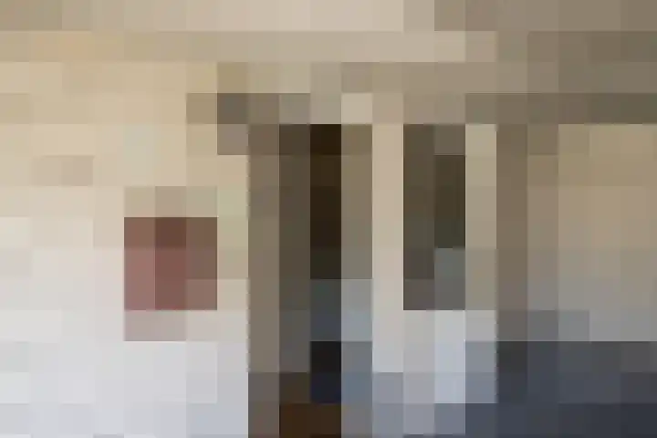 De Wouden 5 Assen thumbnail 8