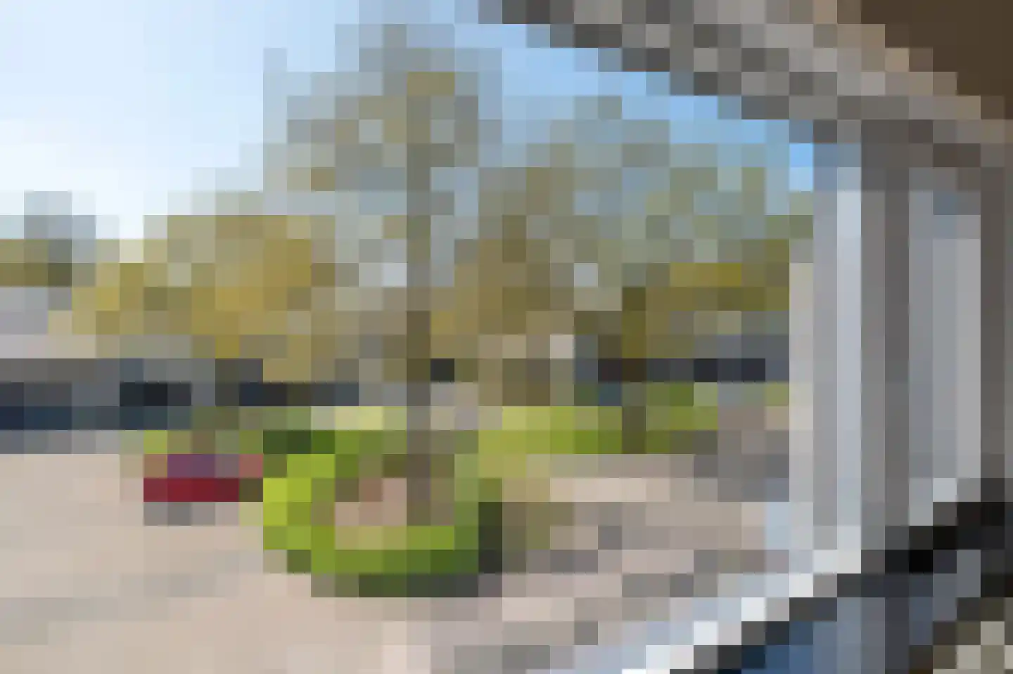 De Wouden 92 Assen thumbnail 33