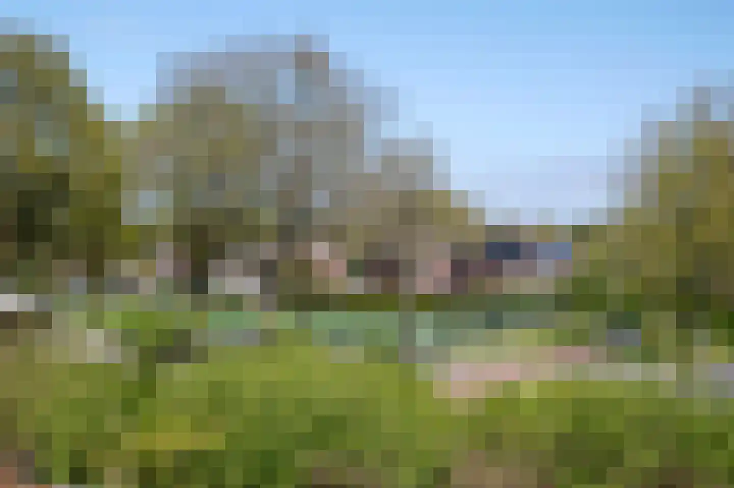 De Wouden 92 Assen thumbnail 34