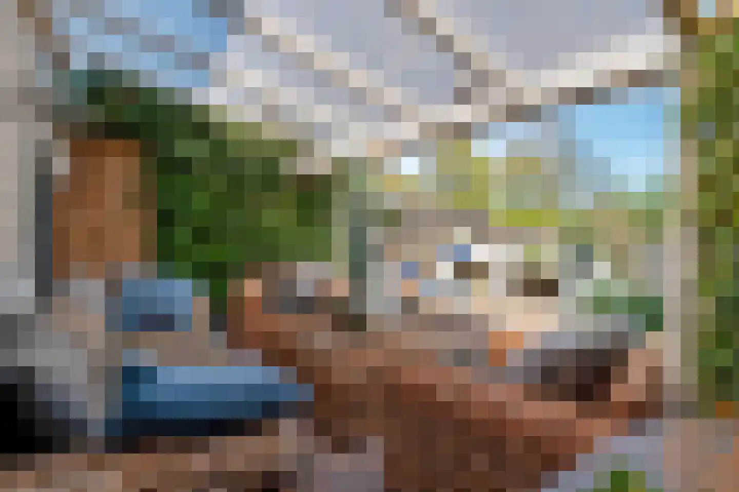 De Wouden 92 Assen thumbnail 36