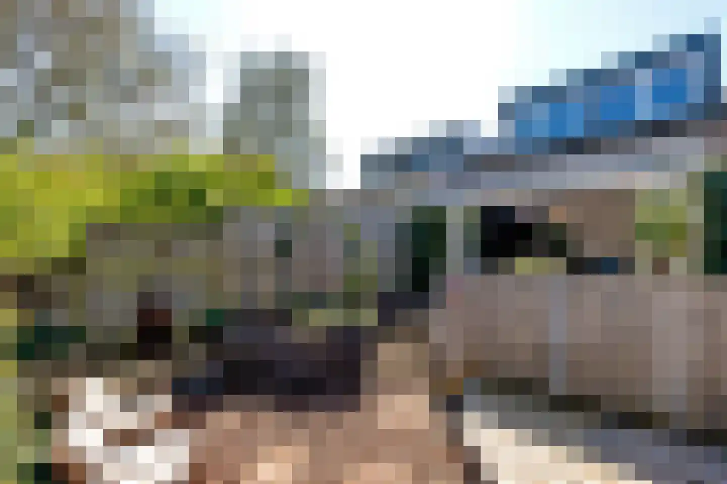 De Wouden 92 Assen thumbnail 39
