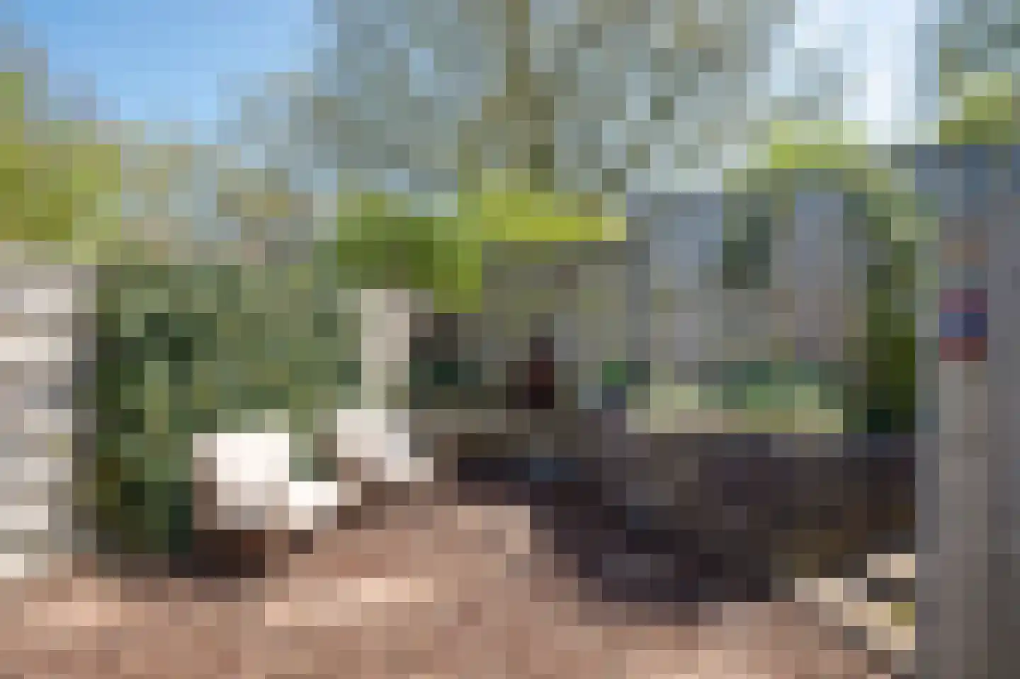 De Wouden 92 Assen thumbnail 40