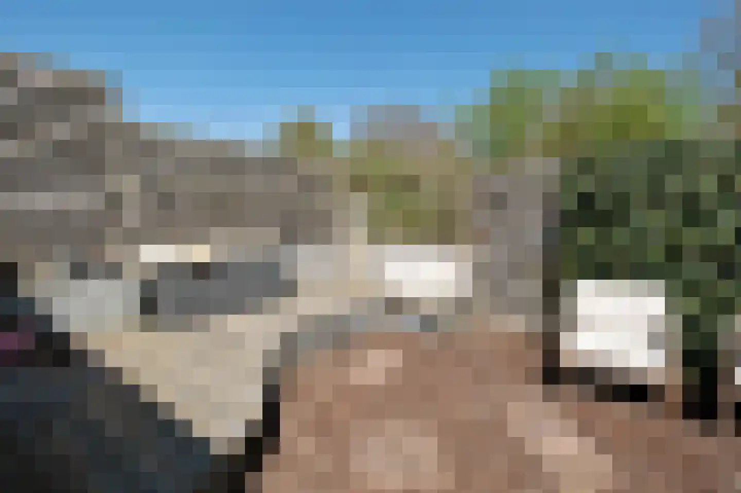 De Wouden 92 Assen thumbnail 41