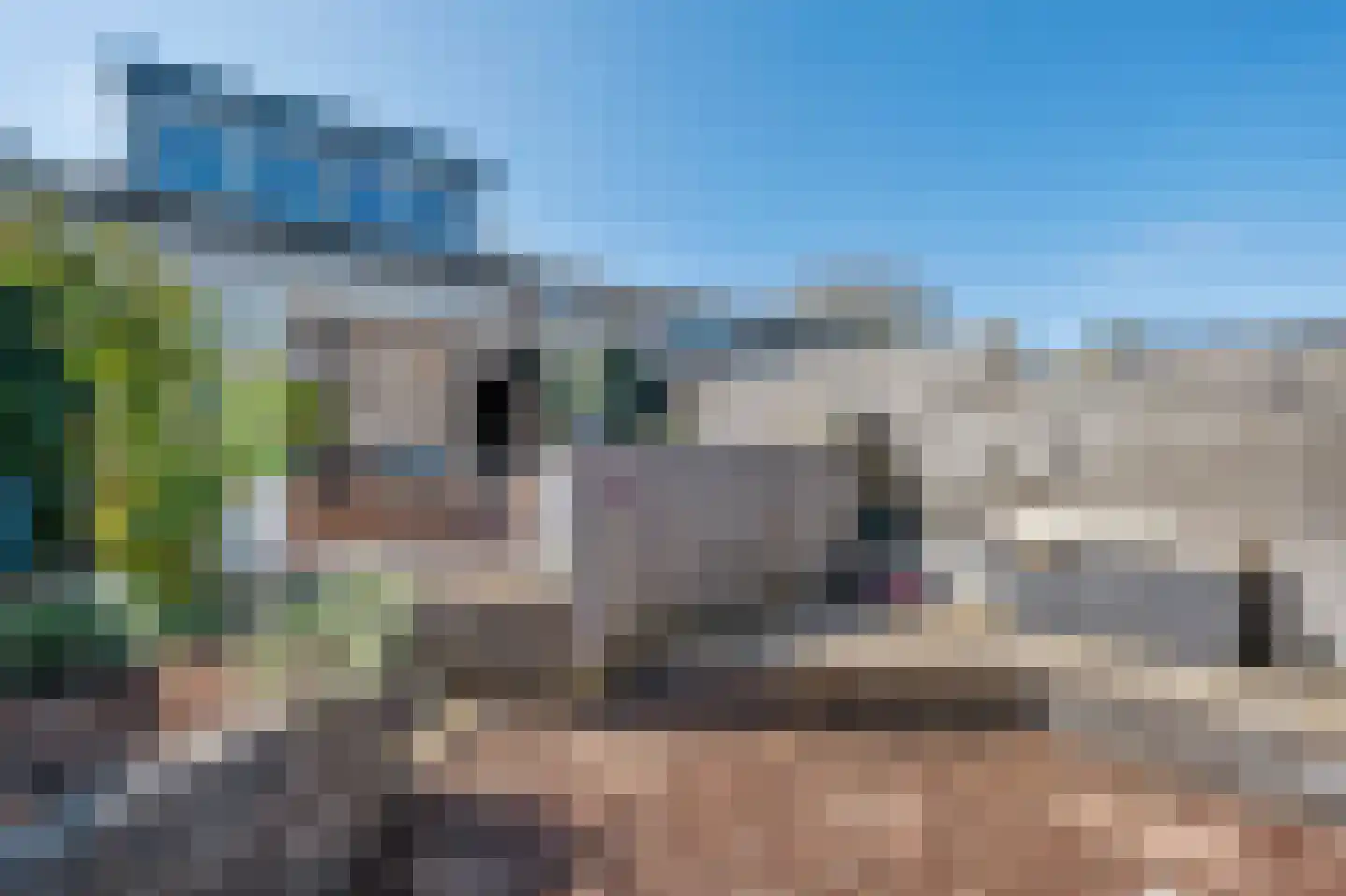 De Wouden 92 Assen thumbnail 43