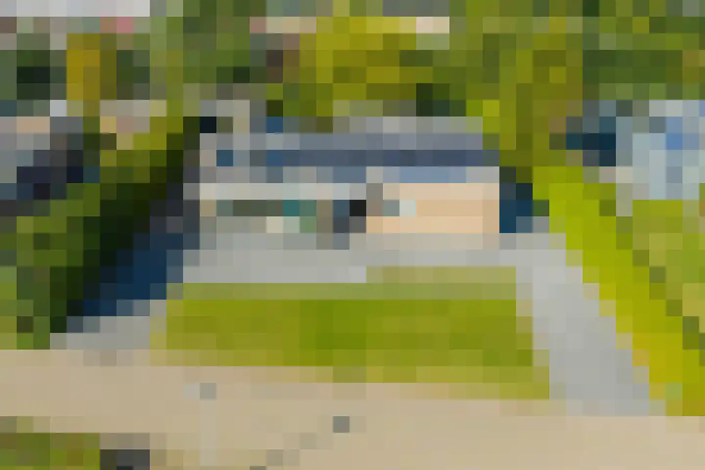 De Woudhorne 26 Dokkum thumbnail 12