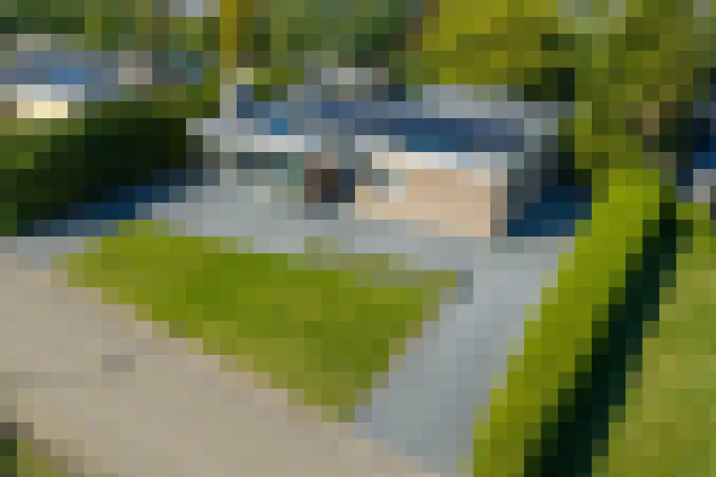 De Woudhorne 26 Dokkum thumbnail 14