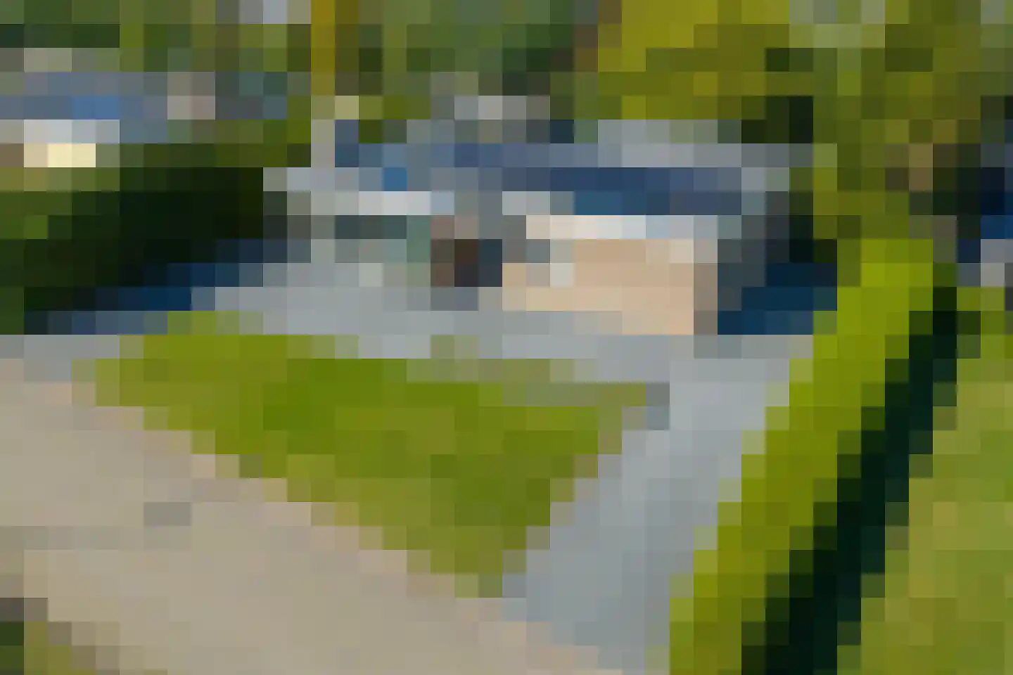 De Woudhorne 26 Dokkum thumbnail 15