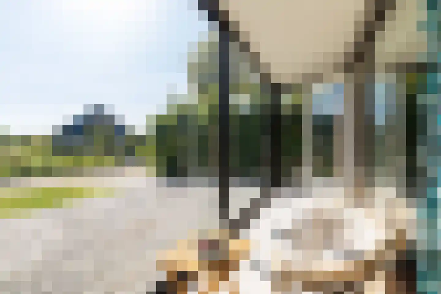 De Woudhorne 26 Dokkum thumbnail 23