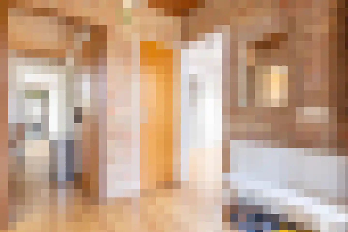 De Woudhorne 26 Dokkum thumbnail 35