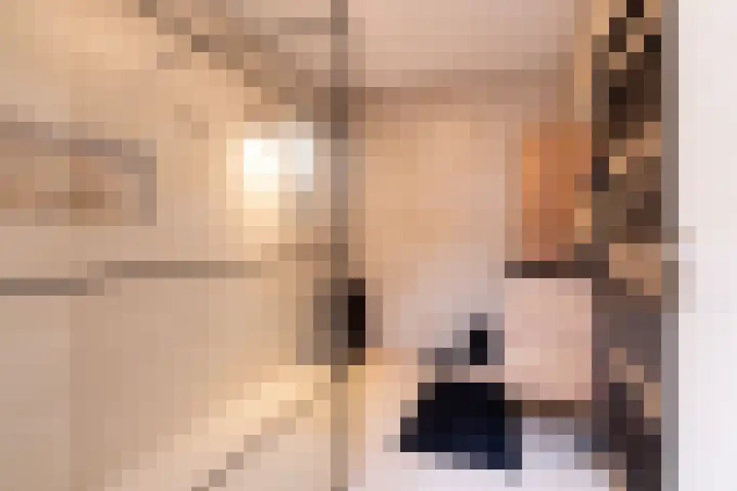 De Woudhorne 26 Dokkum thumbnail 44