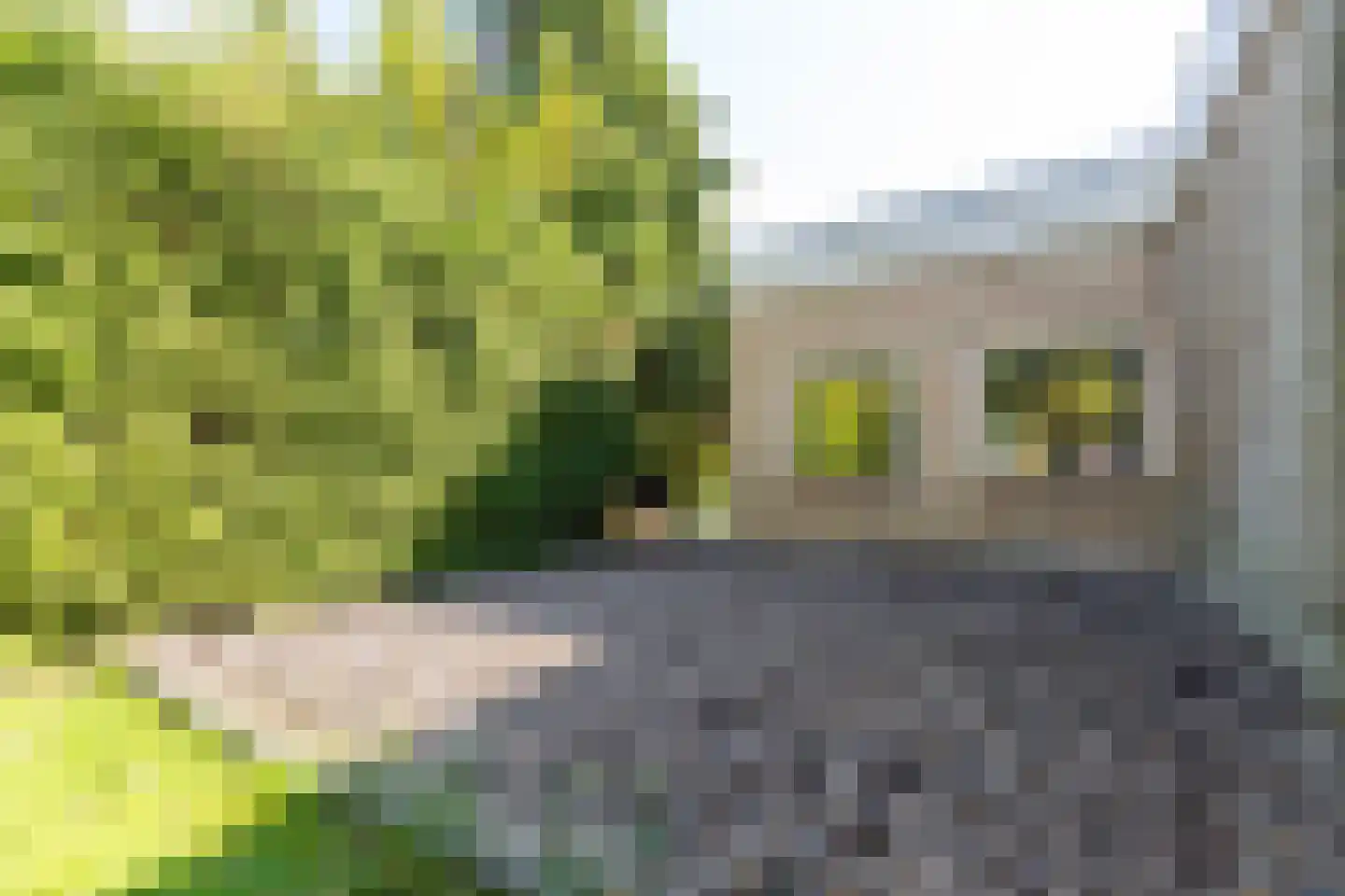 De Woudhorne 26 Dokkum thumbnail 62