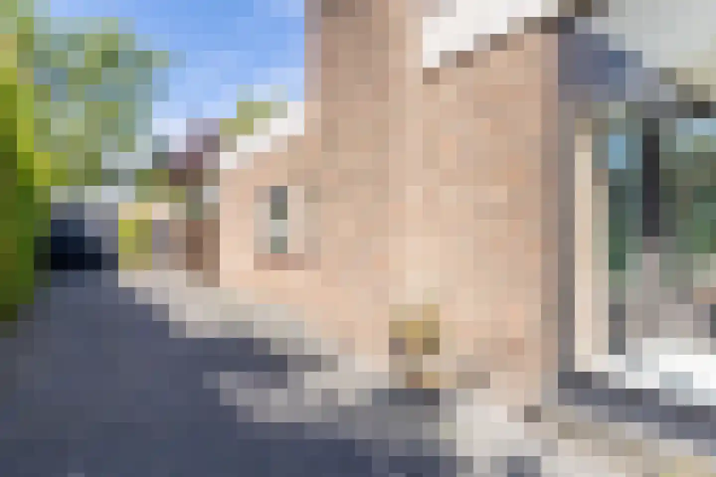De Woudhorne 26 Dokkum thumbnail 66
