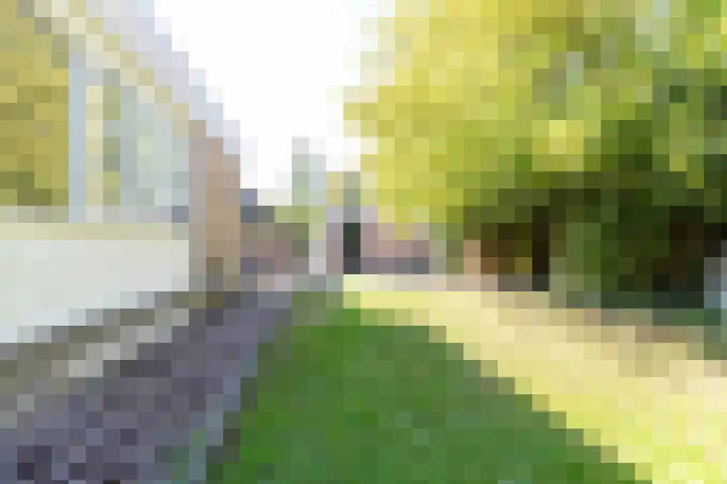 De Woudhorne 26 Dokkum thumbnail 67