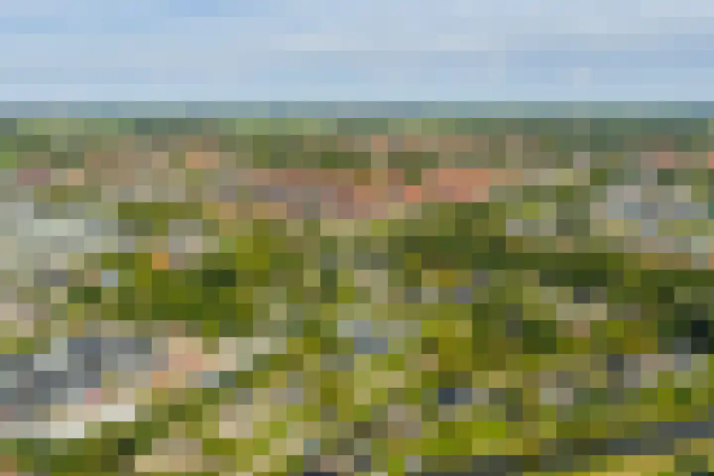 De Woudhorne 26 Dokkum thumbnail 69