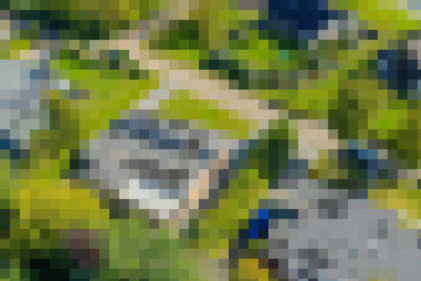 De Woudhorne 26 Dokkum thumbnail 8