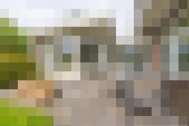 De Woudhorne 37 Dokkum thumbnail 10